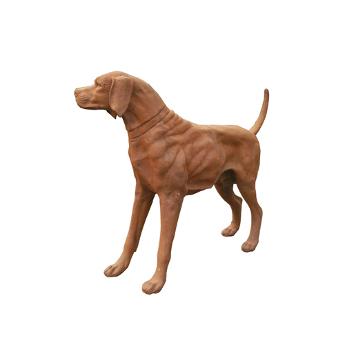 Dog-DOG002