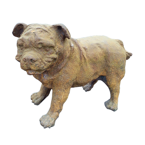 Dog-HY537B