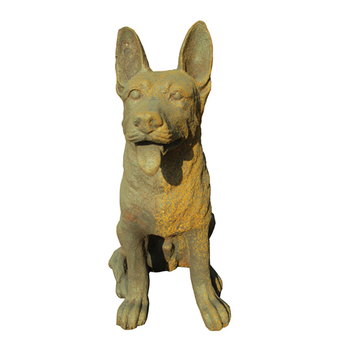 Dog-HY642