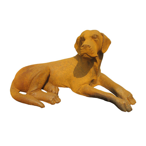 Dog-HY684