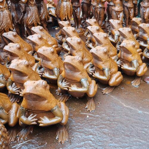 Frog-FROG03