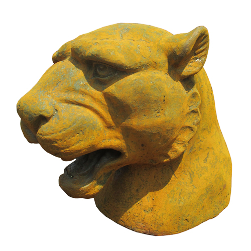Lion-HY716