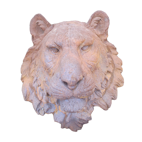Lion-Lion05