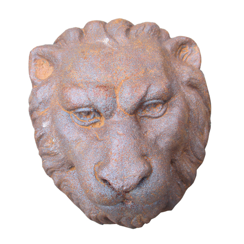 Lion-LION06