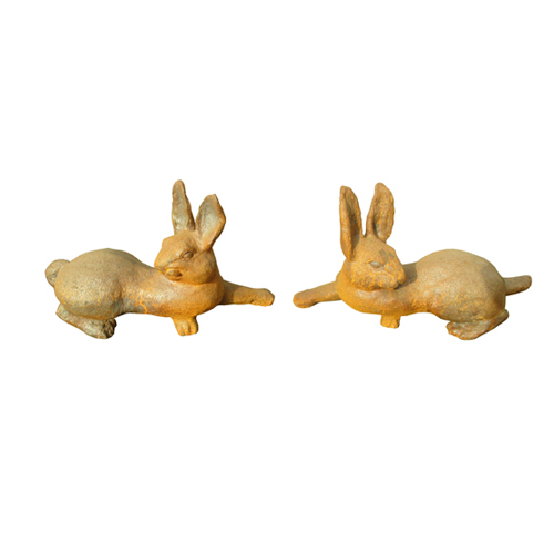 Rabbit-HY764