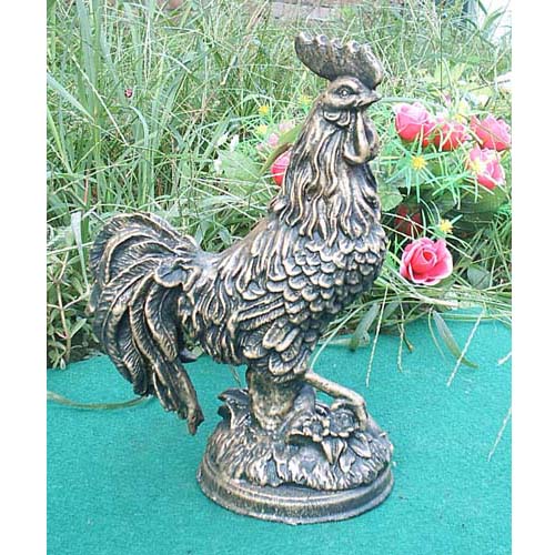 Rooster-HY52