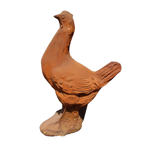 Rooster-HY621
