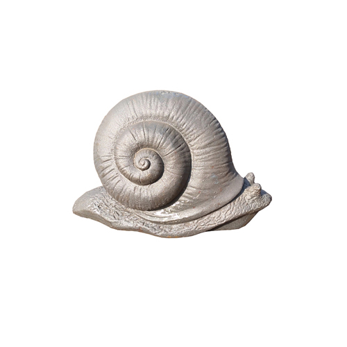 Snail-SNAIL02