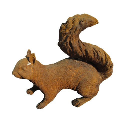 Squirrel-SQU01